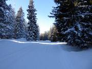 Connecting slope to the ski lifts