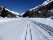 Trail in Lötschental