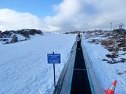 Pony Ride Carpet - People mover