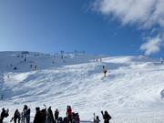 Pro Am slope and Shirt Front