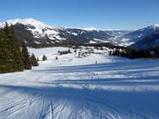 Slope No. 84 Filzstein