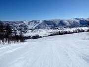 Slope Steinspretten No. 12 (Gullsteinhovda)