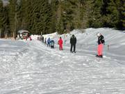 Enzianlift - Rope tow/baby lift with low rope tow