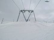 Juonli Meder-Stellerna I - T-bar