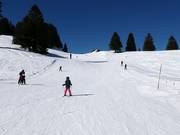Easy slopes at the Madils rope tow