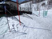 Plenty of snow in Niseko Village
