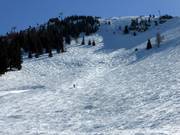 Mogul slope at the Hohe Salve