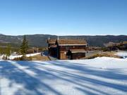 Cozy holiday homes right on the slopes