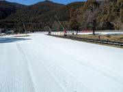 Beginner slope at the Wombats Snow Runner conveyor belt