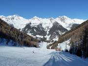 View over the Almboden