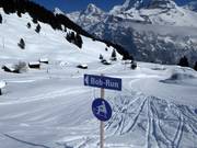 Bob run in Mürren