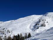 Off-piste slopes Mottolino