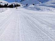 Perfectly groomed slopes