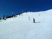 Black Tschaneckpiste