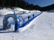 Leprotto - People mover/Moving Carpet