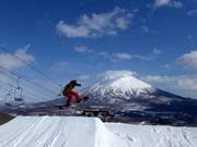 Free Ride Park Hirafu
