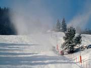 Snow-covered valley run