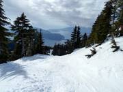 Shore Glades with a view of the Pacific