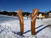 Family ski resorts Alpe Cimbra – Families and children Lavarone