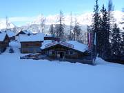 Herzerlalm in the hut village Almwelt Austria