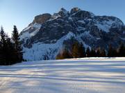 Coldai slope with Civetta