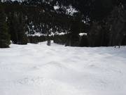 Mogul slope on the back side of the ski resort of Lake Louise