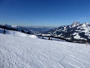 Easy ladies' downhill run with a view of Wendelstein
