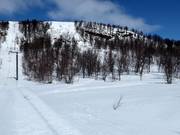 View of the steep off-piste slope at the Anja lifts