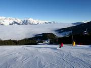 FIS standard downhill