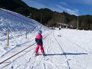 Seillift Kuli 2 (E) - Rope tow/baby lift with low rope tow