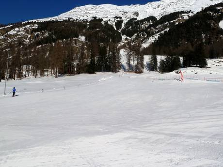 Ski resorts for beginners in the Val Bernina – Beginners Languard – Pontresina