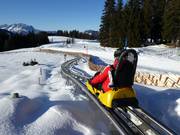 Tip for children  - Timoks Alpine Coaster (Fieberbrunn)