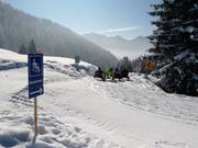 Natural toboggan run Laterns