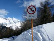 Entering the forest is prohibited