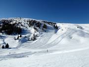 View of the slopes at Monte Agaro