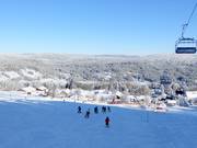 View of Mitterfirmiansreut