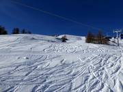 Deep powder slopes at Rosskopf