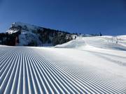 Very good slope grooming