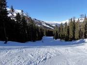 Valley run Schöneben