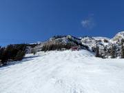 Difficult slope Rudy's Alley