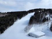 Intermediate slope Isola D