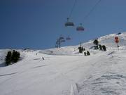 Powder snow slopes at the Holzalm