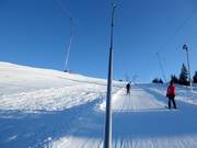 Lièvre Blanc 1 - J-bar