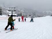 Easy slopes at the Littlecat chairlift