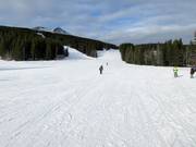 Easy slope to Nakiska Day Lodge