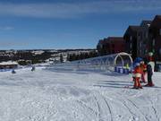 Frontyard A - People mover/Moving Carpet with cover