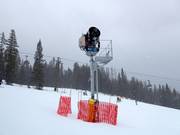 High-performance snow cannon in the Lake Louise ski area