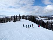 Easy slope North Pole