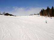 Easy slope at the Almwiesenlift