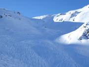 Tracks in the powder snow